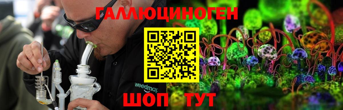 купить закладку  Вход с VPN  Петрозаводск  Галлюциногенные грибы Cubensis 